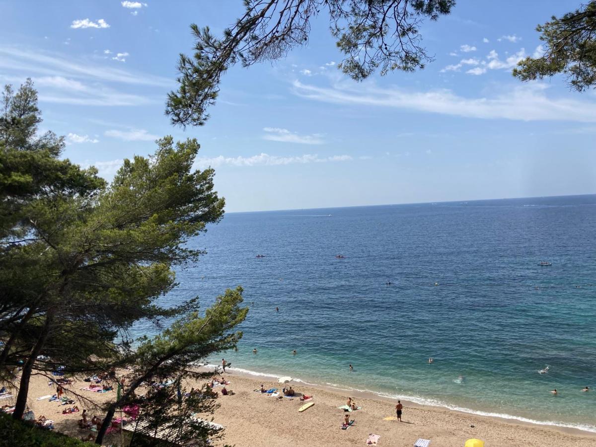 De Avec Terrasse Privative Jardin Et Parking Pres Des Plages Toulon