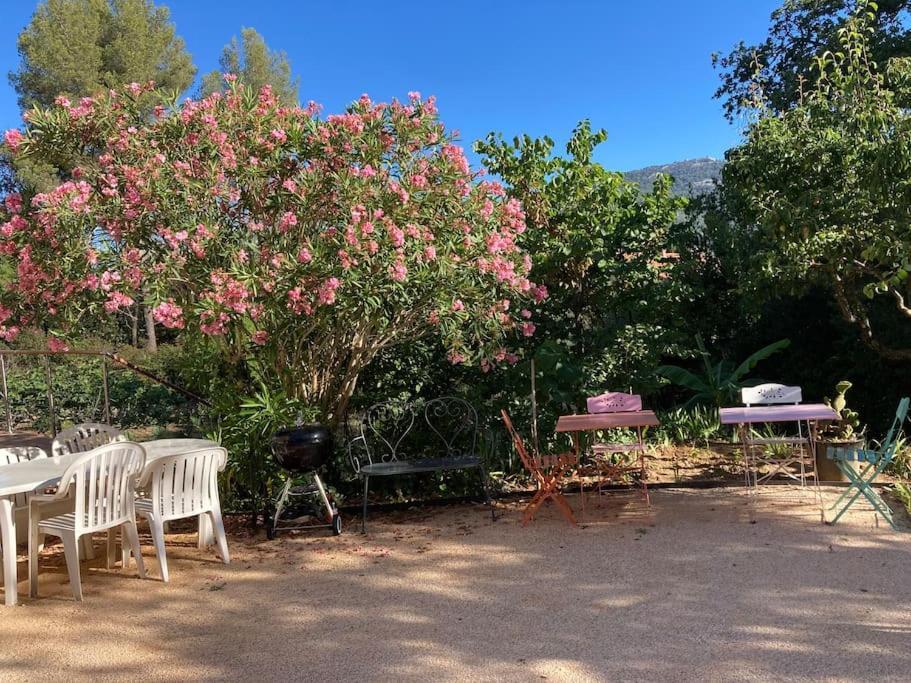 Apartment De Avec Terrasse Privative Jardin Et Parking Pres Des Plages
