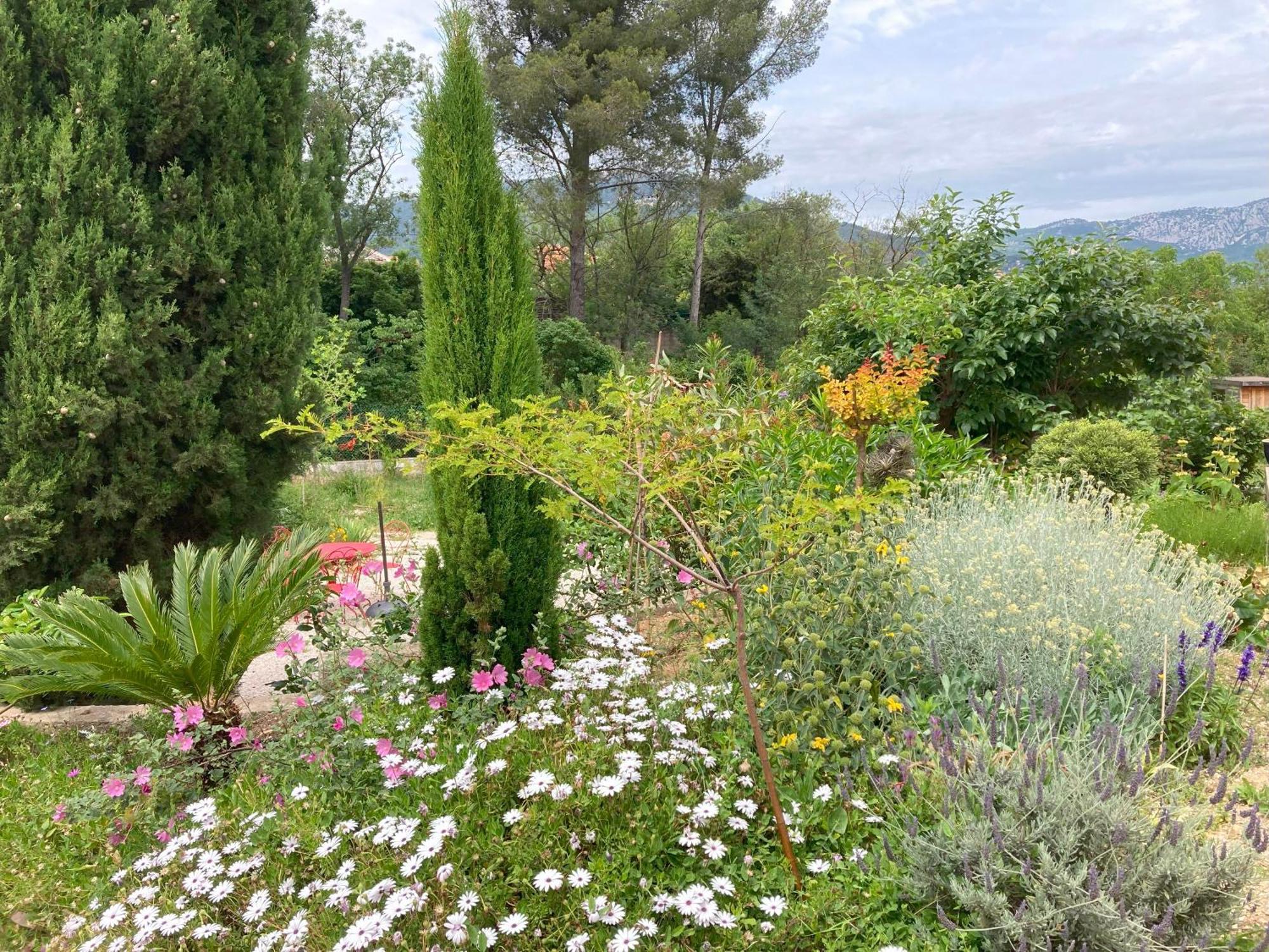 De Avec Terrasse Privative Jardin Et Parking Pres Des Plages